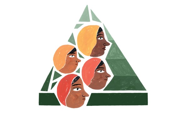 An illustration shows four Indian faces wearing headscarves of red, orange, pink, and yellow. The faces are set against a green pyramid that goes from light to dark, mirroring the caste pyramid infographic displayed in the article.