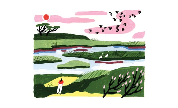 Paint illustration of woman staring into a landscape with rivers and birds.