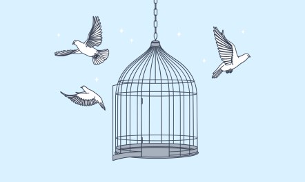 Illustration of birds flying out of a cage