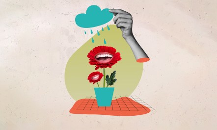 Photo montage of laughing flowers being watered