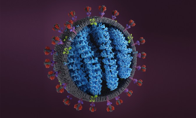 Coronavirus cell for visual learning lesson