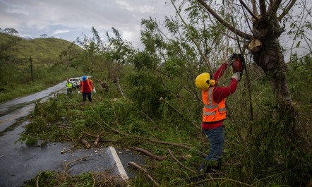 Workers clear out fallen tree branches from a highway in the Dominican Republic